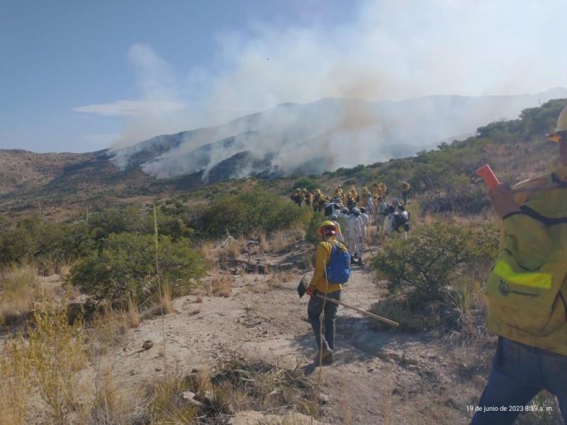 Sonora, hay 2 incendios activos, se suman 250 brigadistas