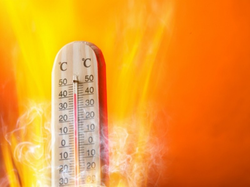 Sonora lidera muertes por calor en lo que va de 2025