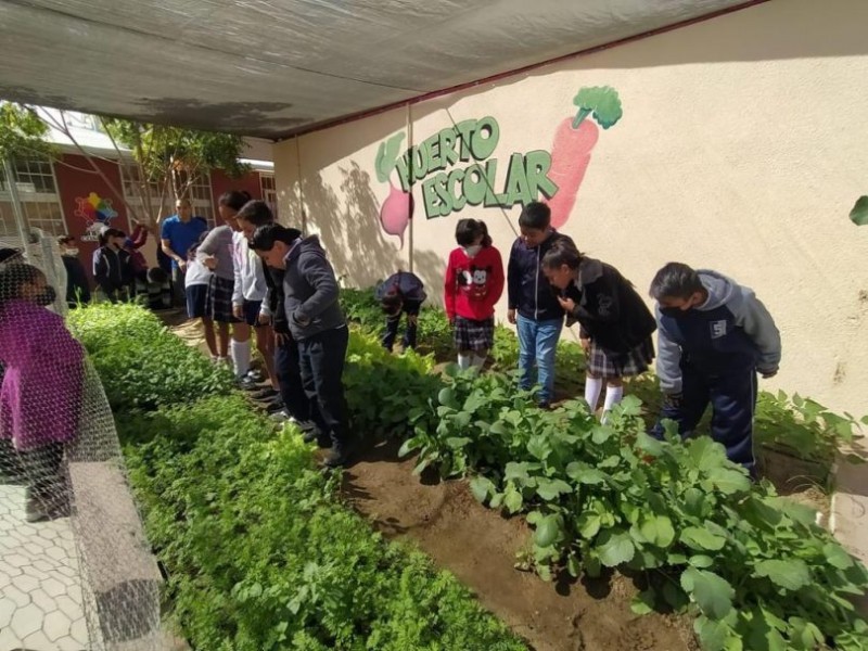 Sonora: nueva reforma fomenta huertos escolares y educación ambiental