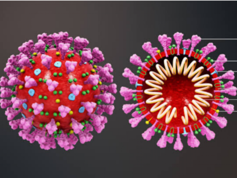 Sonora suma otras cuatro muertes por coronavirus