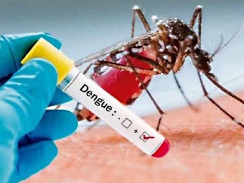 Sonora, tercer lugar en México en casos de dengue