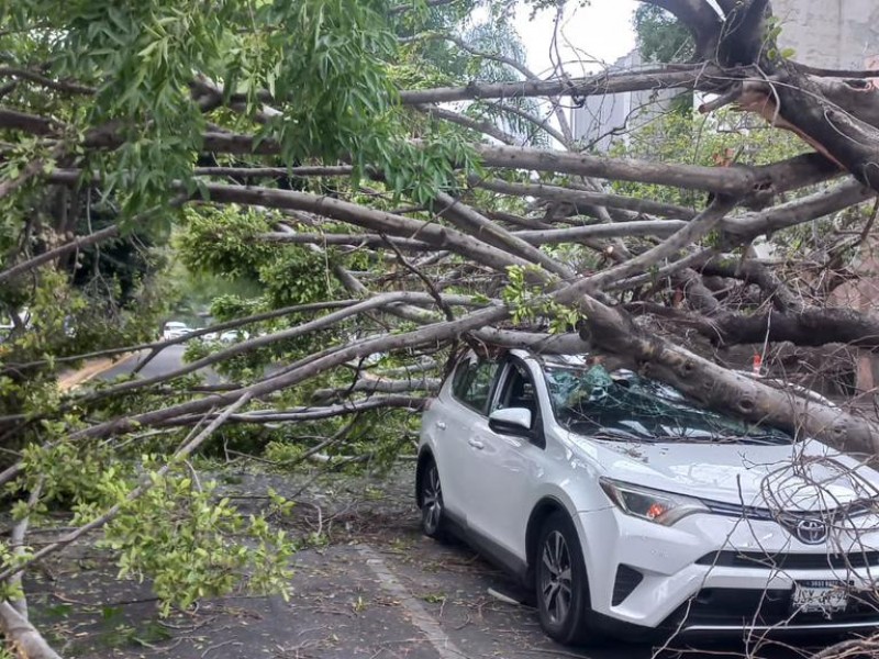 Sorprende lluvia y fuertes vientos  a jaliscienses