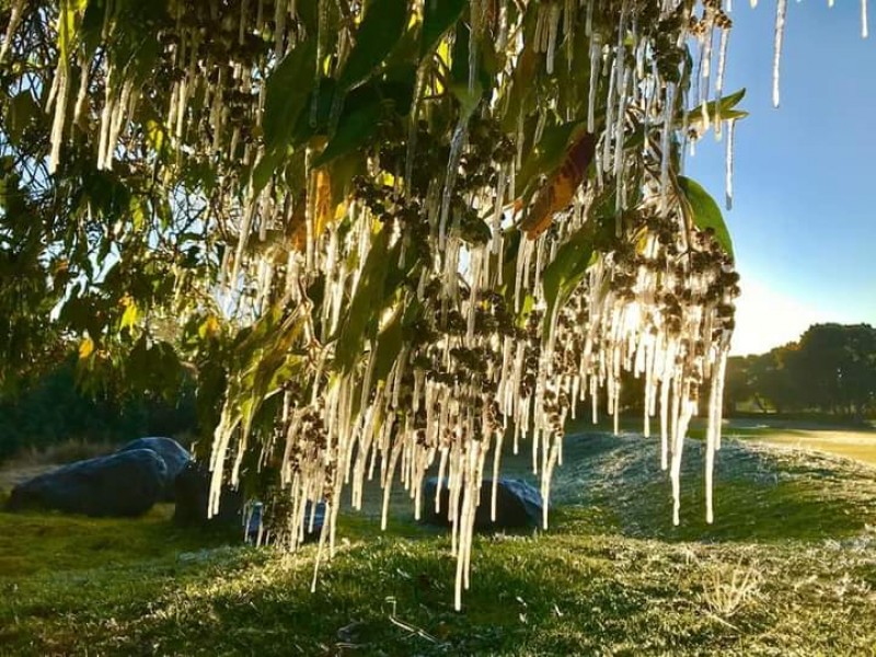 Sorprende primera helada del 2021 en el Valle Libres-Oriental