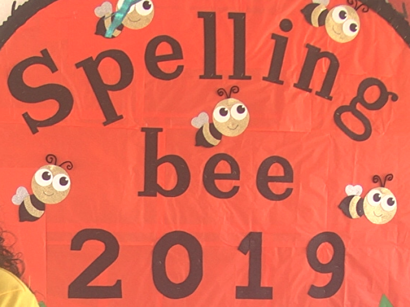 Spelling Bee 2019