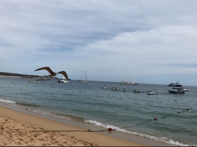 Spring Break contará con un operativo especial de bioseguridad