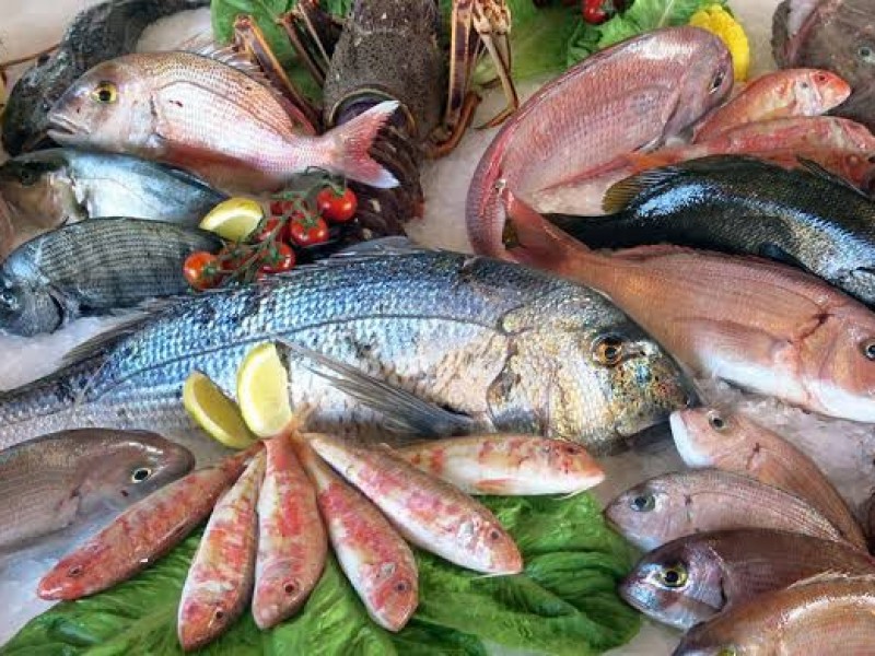 SSA Guerrero pide precaución a la hora de consumir mariscos