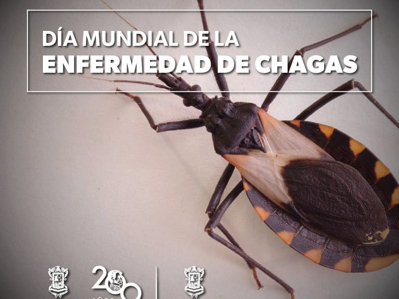 SSM diagnostica sin costo la enfermedad de Chagas