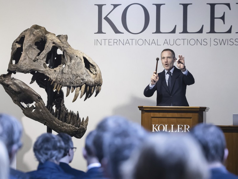Subastan esqueleto de “Tyrannosaurus rex” por 6 millones de dólares