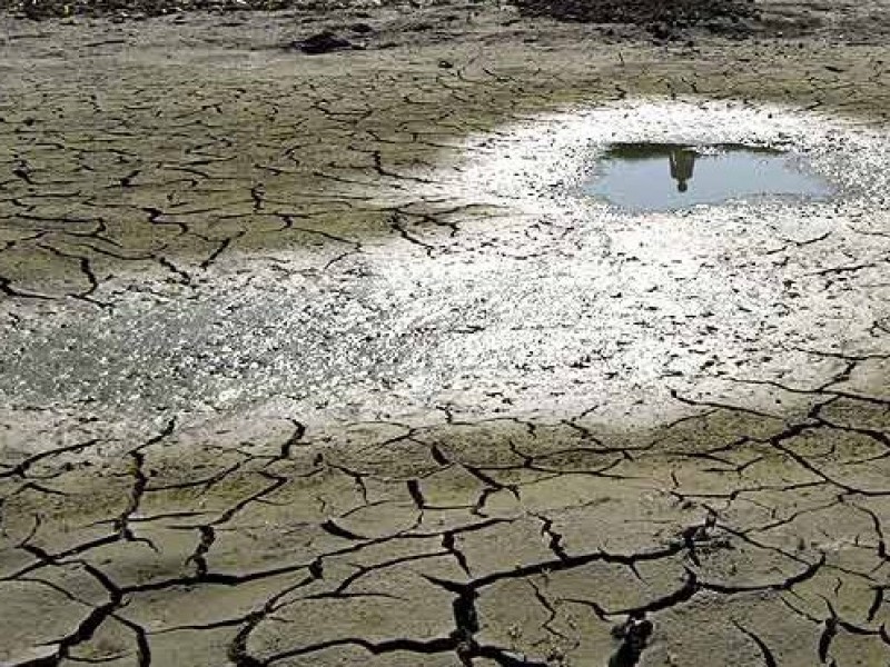 Sube a 15 el número de municipios afectados por sequía