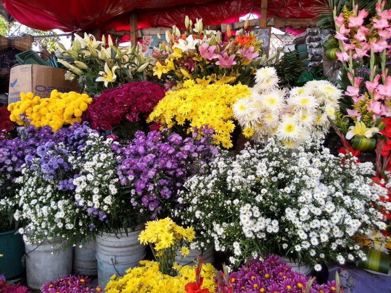 Sube el precio de las flores afirman vendedores