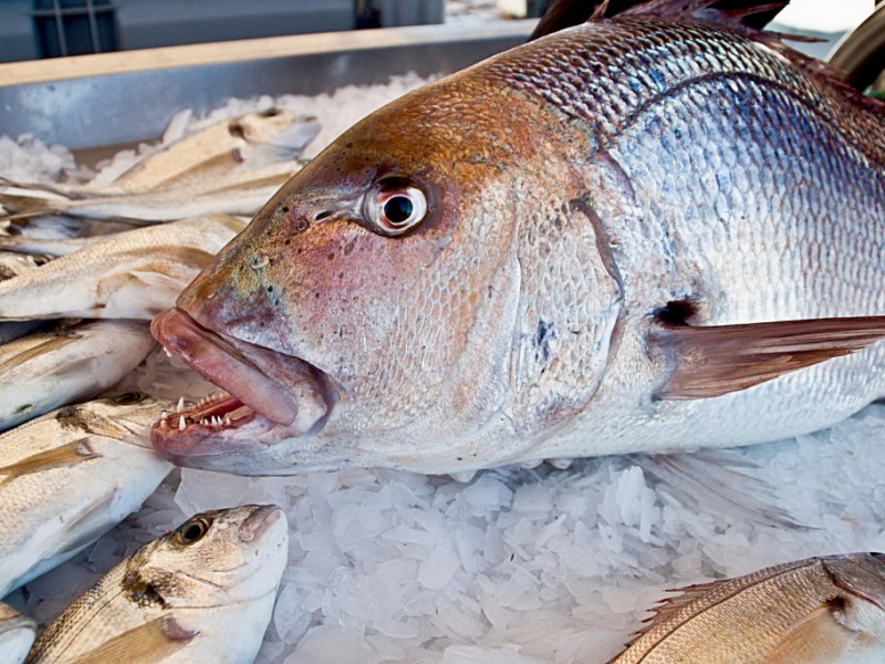 Sube el precio del pescado por temporada de lluvias