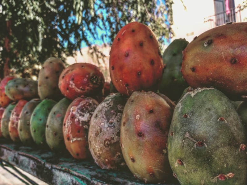 Sube precio de la tuna por poca producción