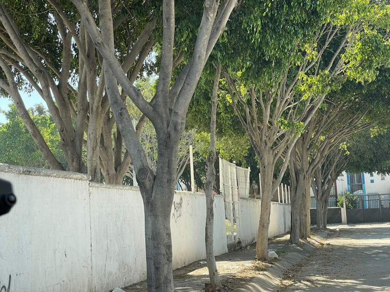 Sucio, dañado y desolado, así luce el parque El Molino