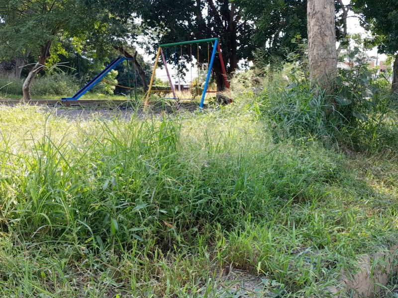 Sucio e inseguro, así se encuentra el jardín de Villas del Sur
