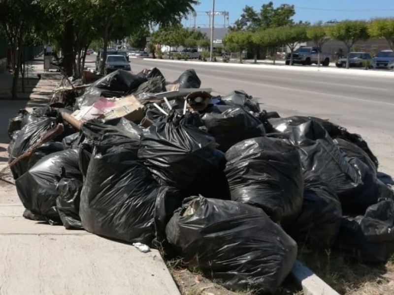 Sudcalifornianos generan más de medio kilo de basura al día