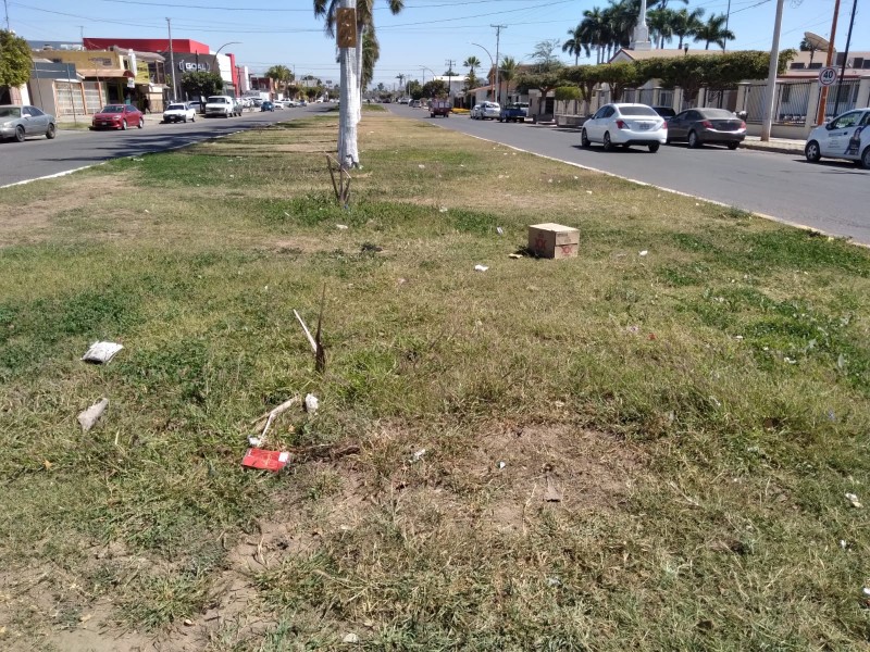 Sufren descuidos camellones de calle Náinari