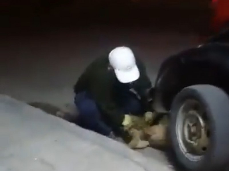 Sujeto arroja un perro a barranco de San Jerónimo Caleras