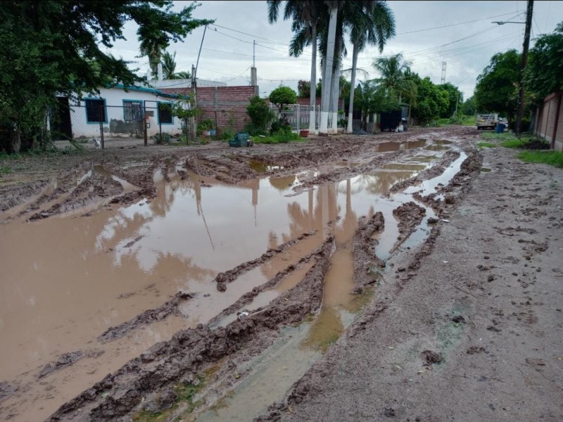 Suman 10 camiones urbanos afectados por calles en mal estado