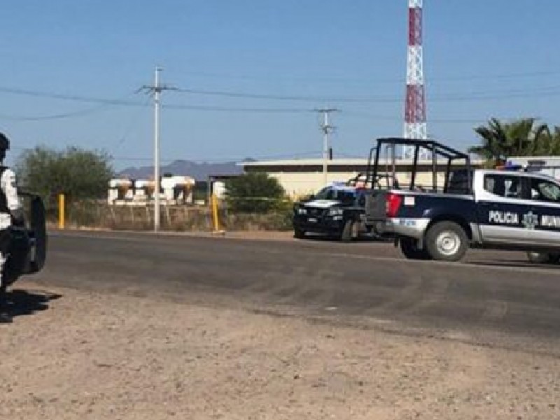 Suman 13 ejecuciones en campos agrícolas del Valle de Guaymas-Empalme