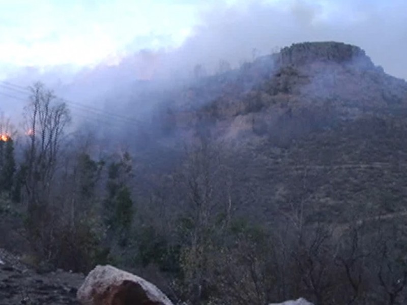 Suman 203 incendios forestales en el estado