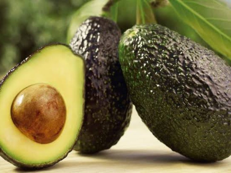 Suman 25 empacadoras de aguacate certificadas