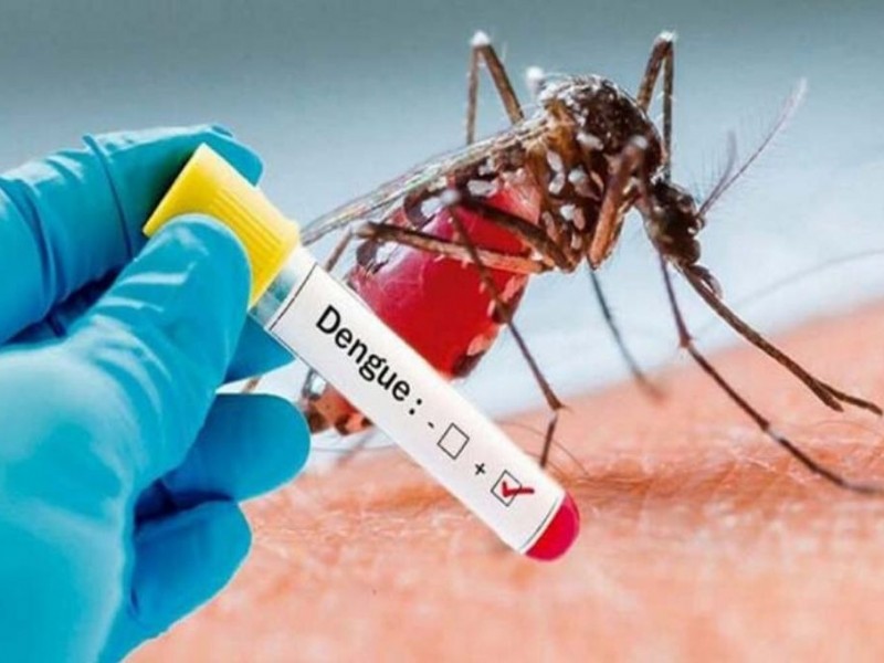 Suman 3 muertos y 101 casos de dengue en Colima