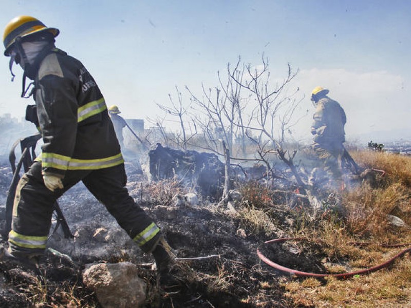 Suman 540 incendios en predios baldíos de la capital queretana