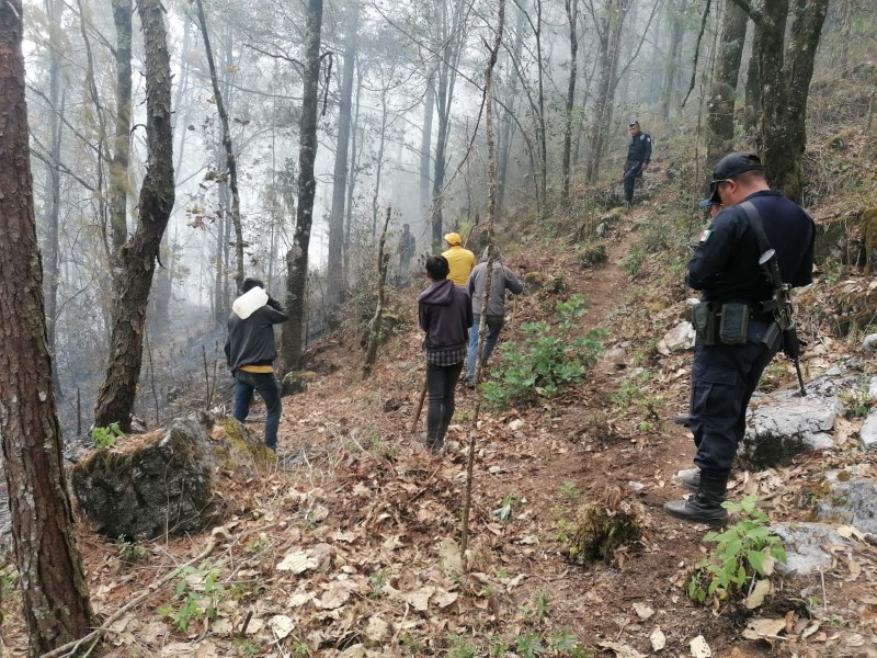 Suman 7 hectáreas afectadas por incendios en Ajalpan