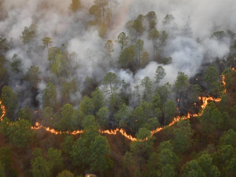 Suman 700 incendios forestales en Jalisco durante estiaje