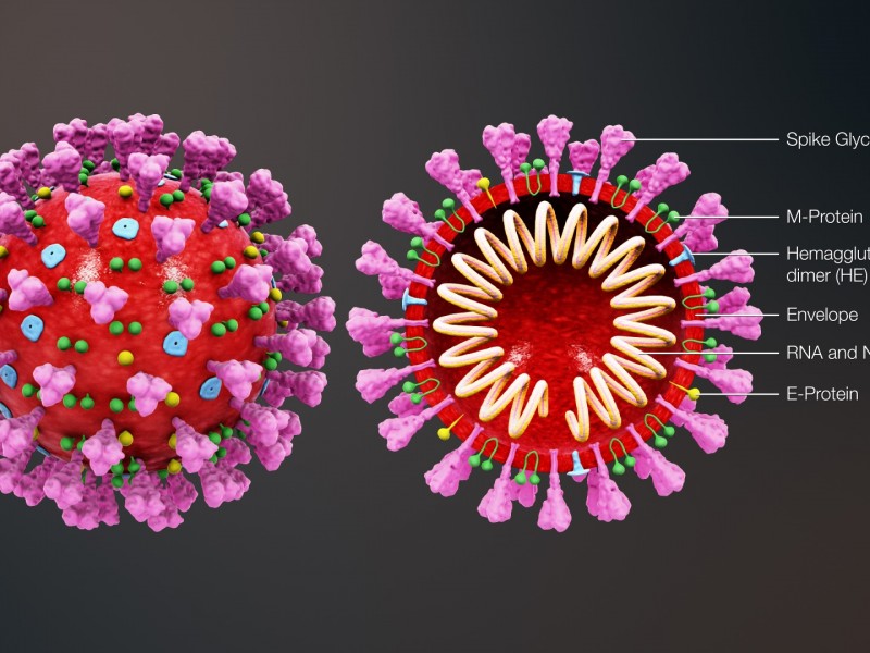 Suman 8 casos de Coronavirus en Sonora