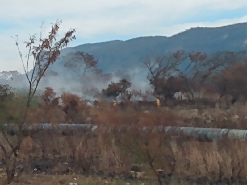 Suman 8 incendios en Áreas Naturales Protegidas