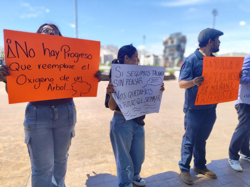 Suman cuatro manifestaciones para impedir tala de árboles por obra