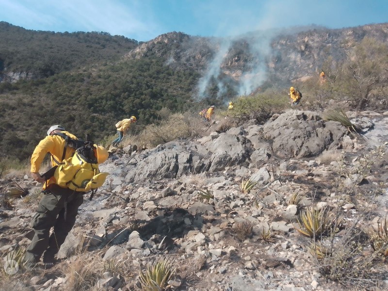 Suman siete incendios forestales en Coahuila