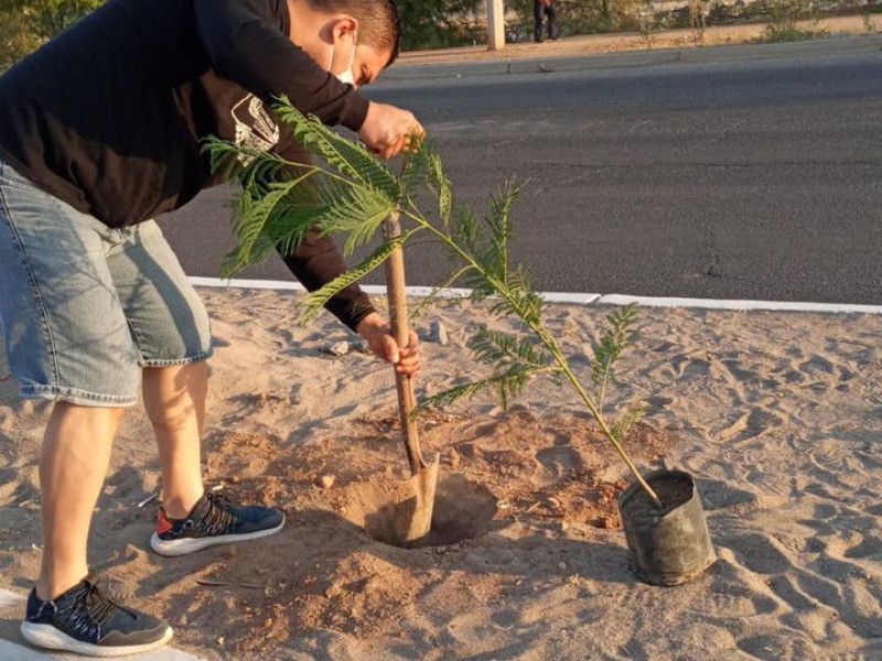 Superan meta de Reto 1001 Árboles para reforestar bulevares