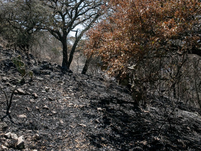 Supervisan acciones para sofocar incendio en zona cerril de Huimilpan