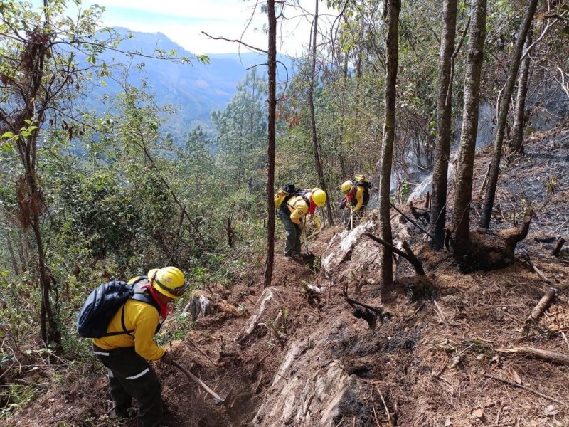 “Surada” afectará litoral veracruzano; crece riesgo de incendios forestales