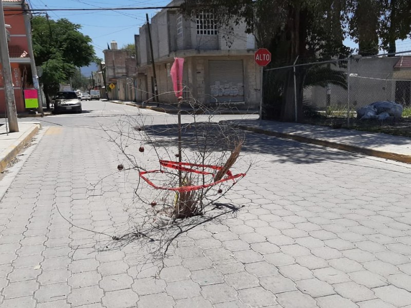 Surge hundimiento en la Tepeyac, sospechan de drenaje