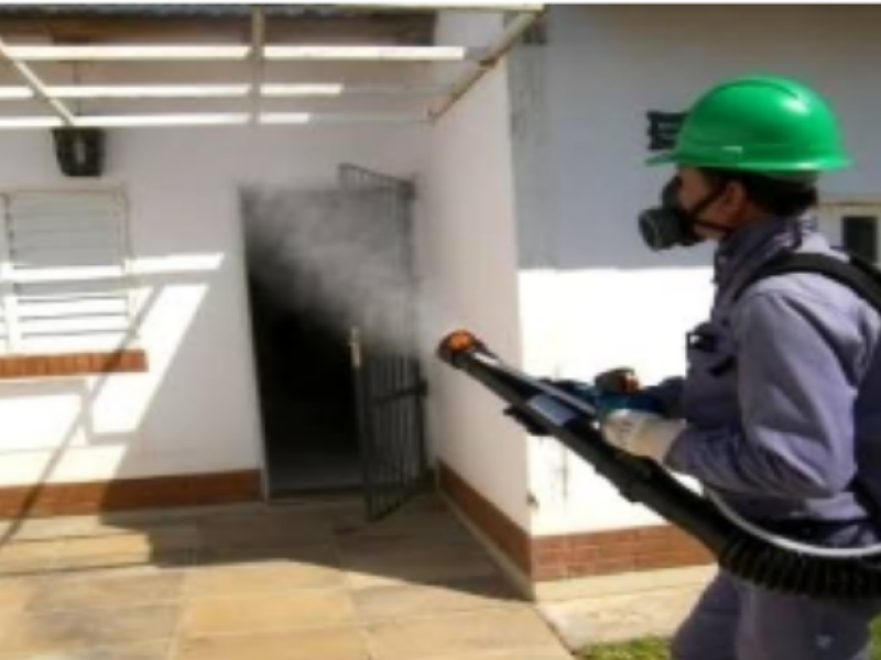 Surgen en León al menos 120 empresas fumigadoras no certificadas