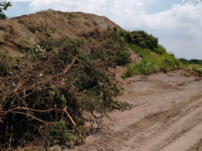 Suspende PMA ampliación de Punta Tiburón