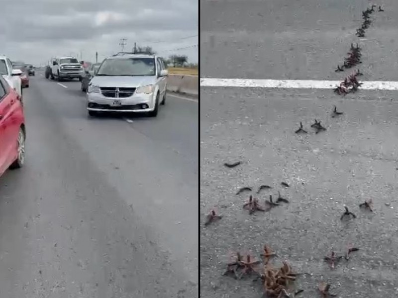 Suspenden clases en Reynosa, Tamaulipas por balaceras