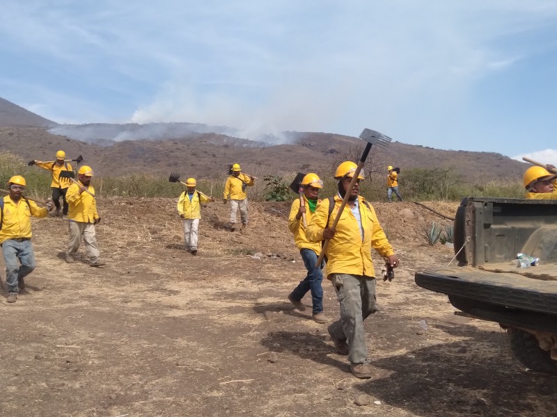 Suspenden labores para sofocar incendio en cerro de La Beata