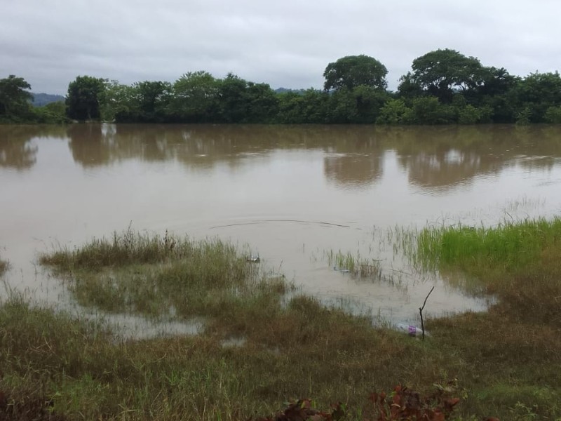 Suspenden Servicio de Agua Potable en Tuxpan