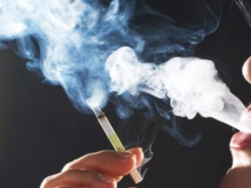 Tabaco causa 11 muertes diarias en Veracruz:OMS