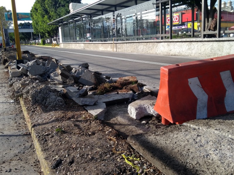 Tala de árboles en Blvd. Capitán Carlos Camacho