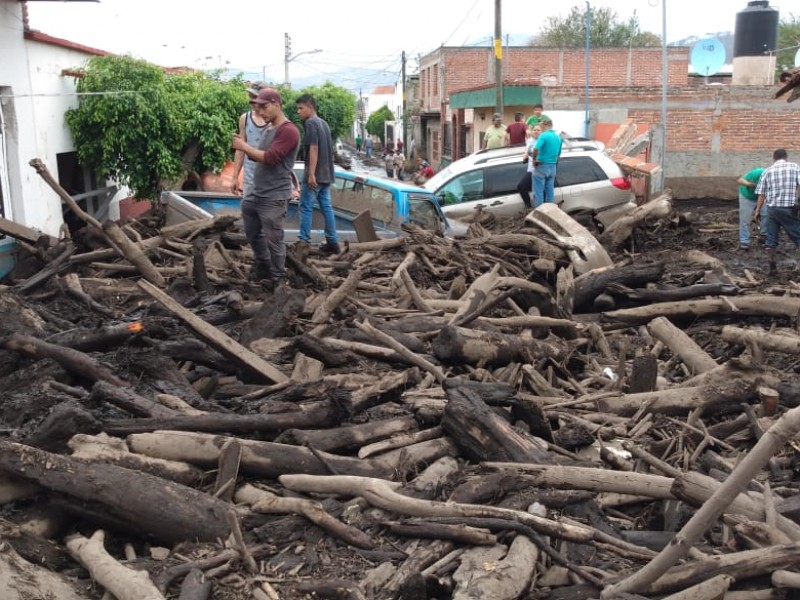 Tala indiscriminada, causa del desastre en San Gabriel