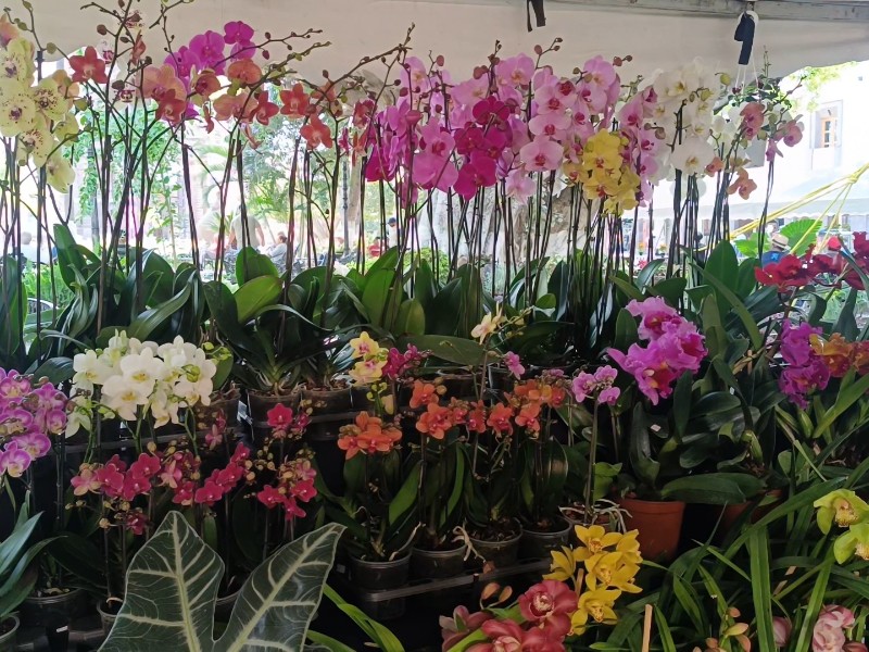 Talleres, plantas y conferencias en 