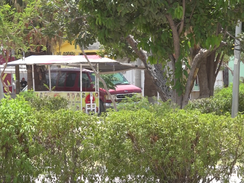 También es responsabilidad ciudadana cuidar de las áreas verdes