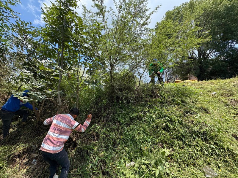Tangancícuaro lleva a cabo labores de mantenimiento en  diferentes tramos carreteros