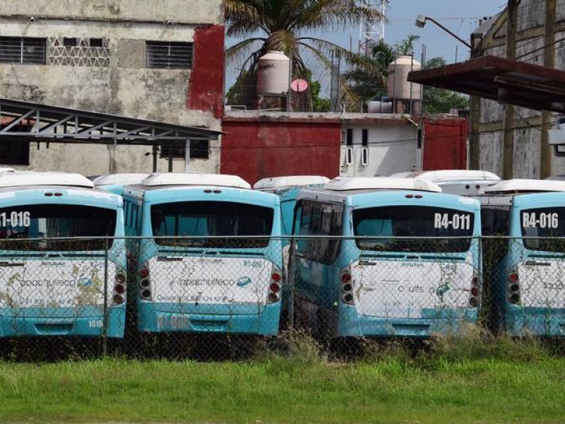 Tapachultecobus, agoniza, igual que su homólogo en Tuxtla