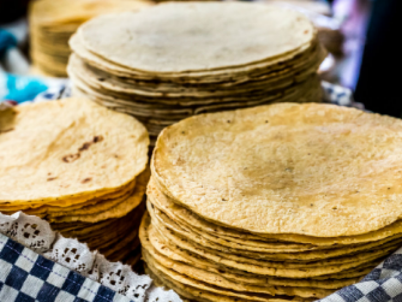 Tapatíos consumen en  promedio 5 kilos de tortilla (IIEG)